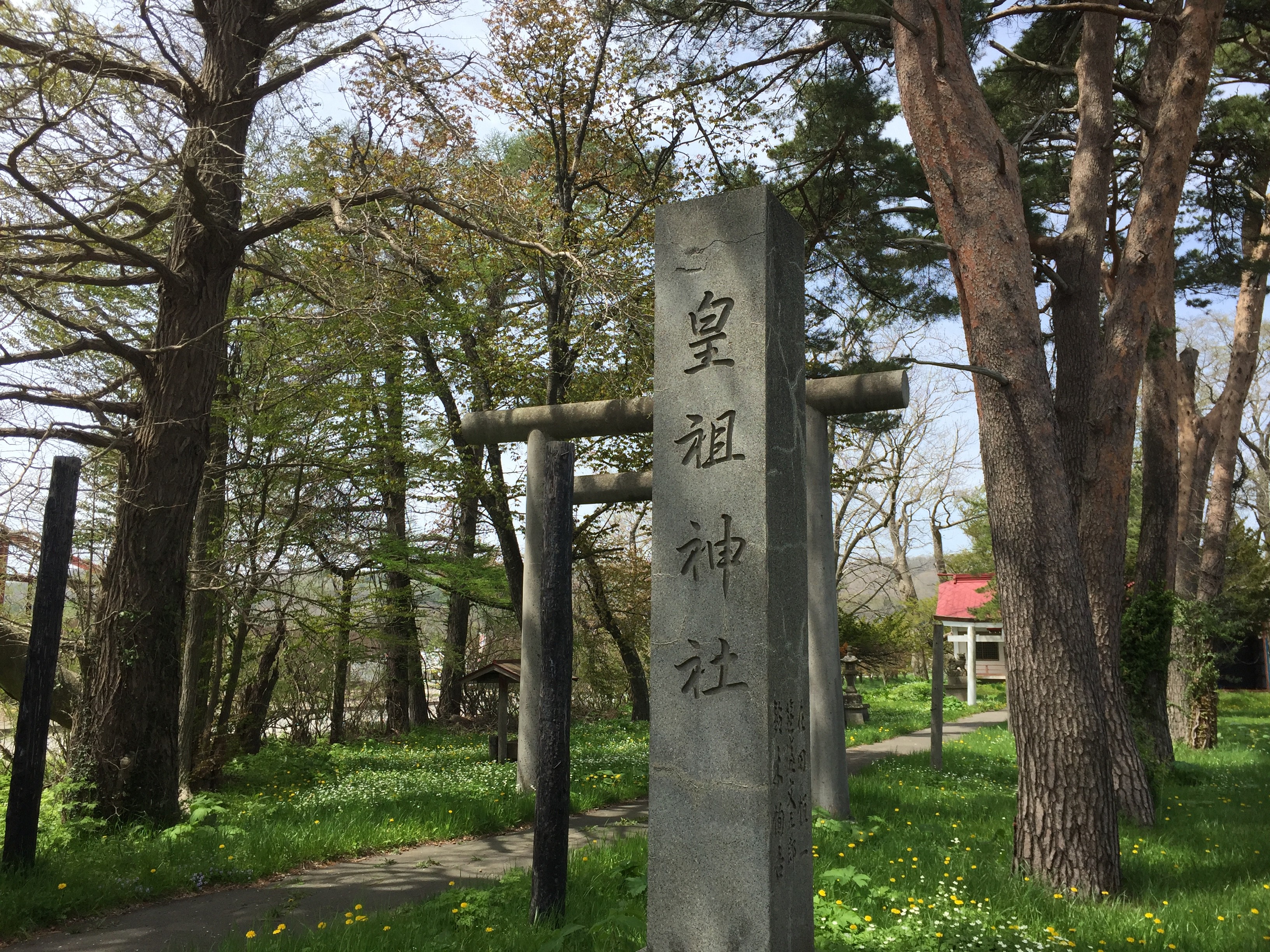 8B7D7B5E-B13A-4E98-AF11-443AA27F5111