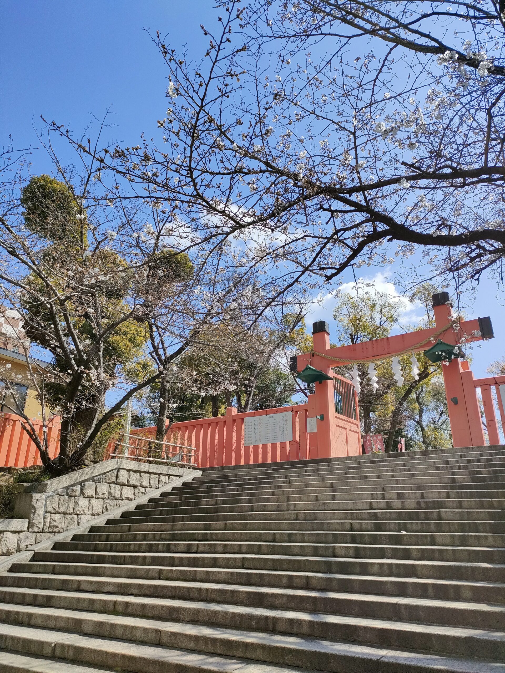 自然の中でひとり過ごす時間